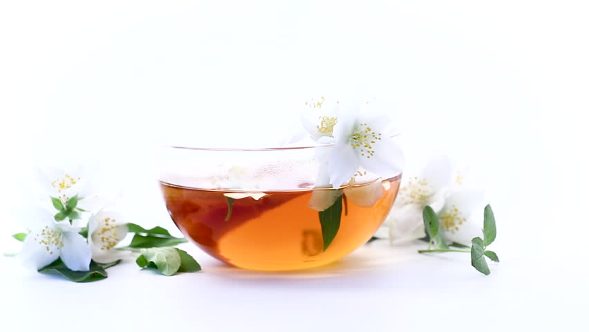 fresh jasmine blossoms and hot tea isolated on white background .