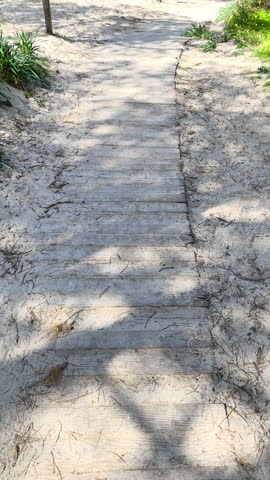 Vertical reveal from sandy ground to sea at Maria Pia Beach showing coastal vegetation turquoise water and Mediterranean shoreline in natural light.