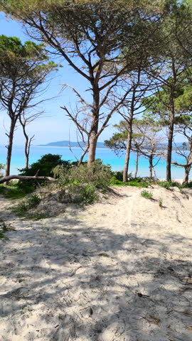 Vertical view of Maria Pia Beach in springtime seen from pine forest with horizontal pan revealing turquoise sea sandy shore and coastal vegetation.