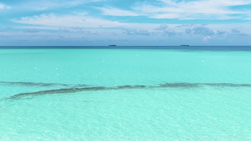 Aerial view of turquoise tropical waters with visible coral reefs and white birds flying under a blue sky in Kudahuvadhoo, Dhaalu Atoll, Maldives.