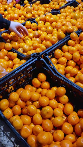Fresh mandarin oranges or tangerines fruit with leaves in boxes at the open air local food market. Wholesale depot of exotic fruits. Local produce at the farmers market. vertical video