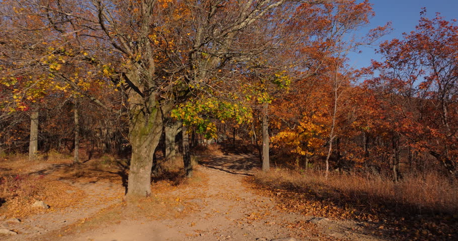 Mt Beacon Trail Entrance Under Trees
