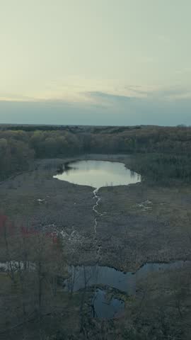 Vertical aerial flyover over wild marsh pond surrounded by cattail wetlands and budding forest at dusk in moody twilight light, Wisconsin, USA