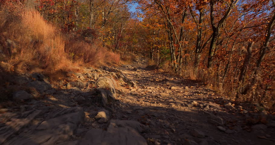 Mt Beacon Trail Walk Stone Path Sunny