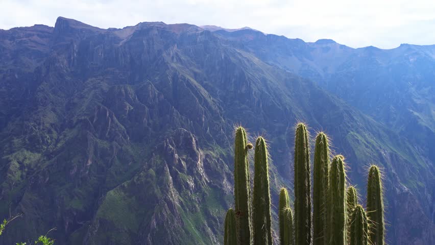 Spectacular landscapes inside Colca Canyon near Arequipa, Peru