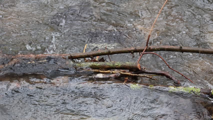 A flowing stream with tiny rapids