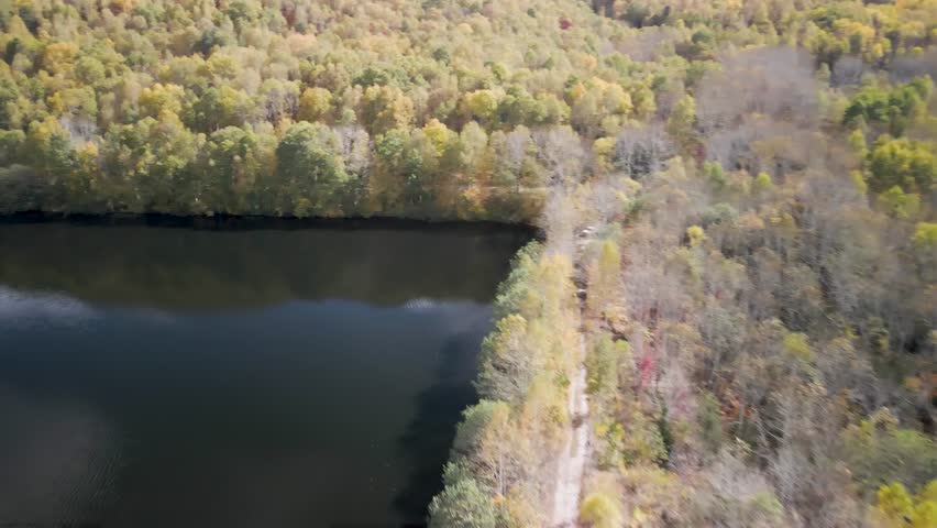 Drone view along a calm freshwater reservoir shoreline bordered by autumn forest and remote wilderness.