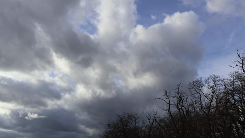 A cloud drift over leafless forest trees