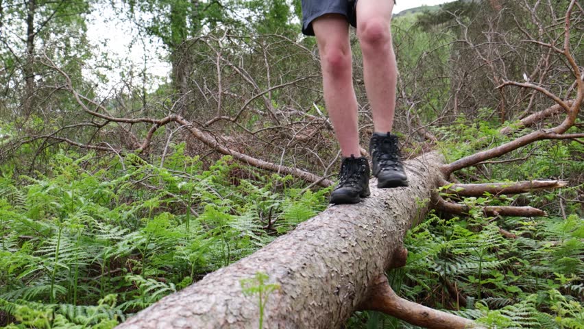 Hiker boots balance on a fallen log as camera follows feet along a forest trail, weaving past ferns and branches. Outdoor adventure, trekking, balance and footing concept.
