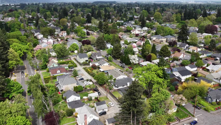 Lush spring neighborhood of single-family homes, blooming trees and winding streets stretches beneath dense green forest canopy on sunny day in Portland, Oregon, USA. Aerial drone flyover