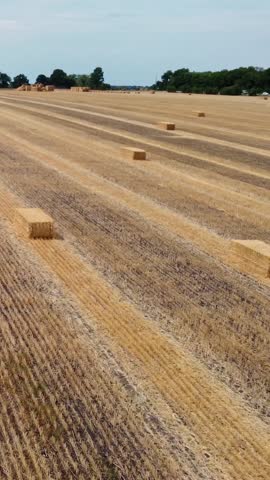 Aerial view of harvested wheat crop field with hay bales. Rural agricultural landscape