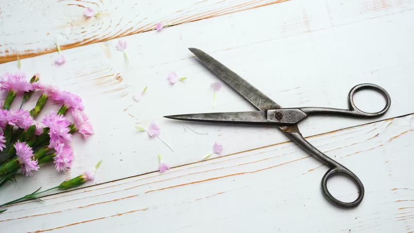 Scissors beside pink flowers on a white wooden surface