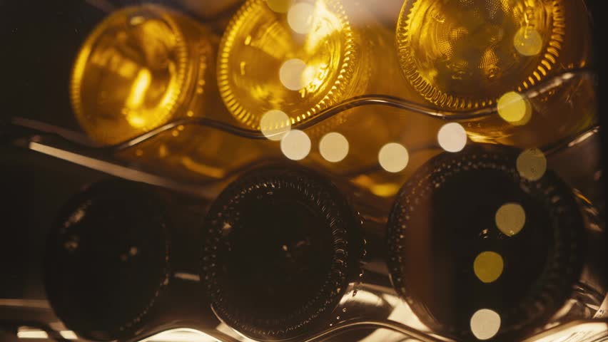 Storing bottles of wine in fridge, white and red wines in cooler. Alcoholic card in restaurant or at home storage, shop supermarket. Cooling and preserving wine and cava champagne..