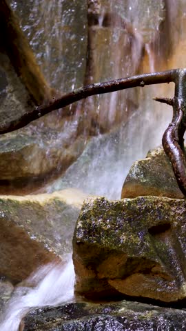 Small waterfall macro close up vertical video wet rock and tree branch clear water stream nature background