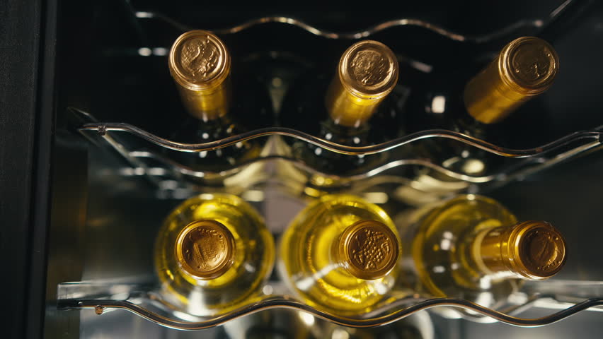Storing bottles of wine in fridge, white and red wines in cooler. Alcoholic card in restaurant or at home storage, shop supermarket. Cooling and preserving wine and cava champagne..