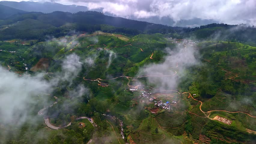Cloud patches lift to reveal winding plantation access tracks and a small hamlet scattered across steep Sri Lankan tea slopes.