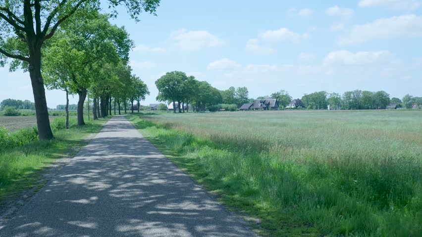Scenic country road passing through lush green fields