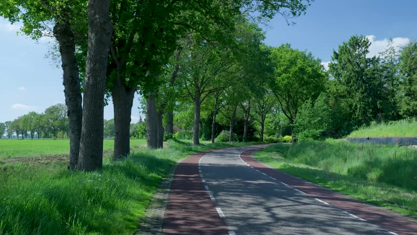 Winding countryside road with a bicycle path surrounded by trees