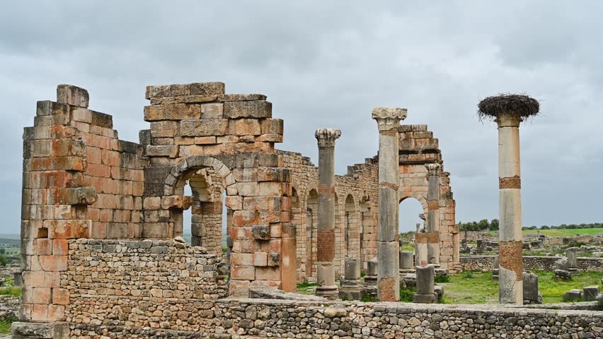 Archeological site of Volubilis in Morocco, an ancient Roman city. The ruins show stone walls and columns, with a stork