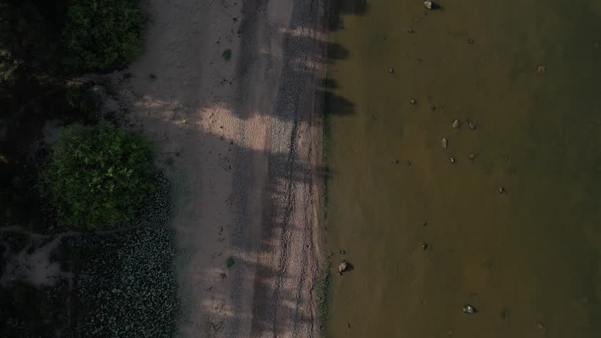 Top-down drone view of a lake shoreline with shallow green water, scattered rocks, white birds, sandy bank, and dense trees.