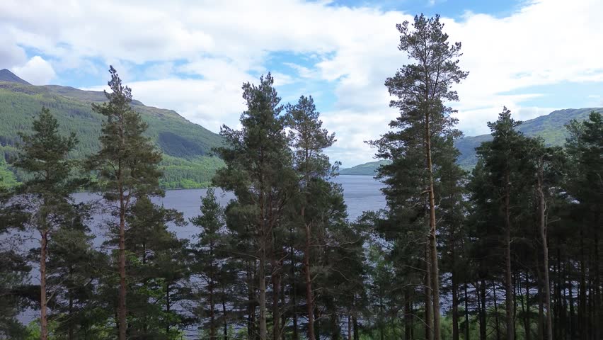 Vast highland landscape and Loch Lomond revealed as drone rises from behind trees. Trossachs National Park, Scotland.