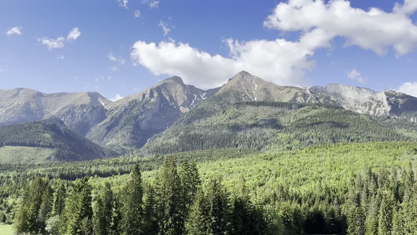 Rocky Mountains, Dense Pine Forest and Blue Sky