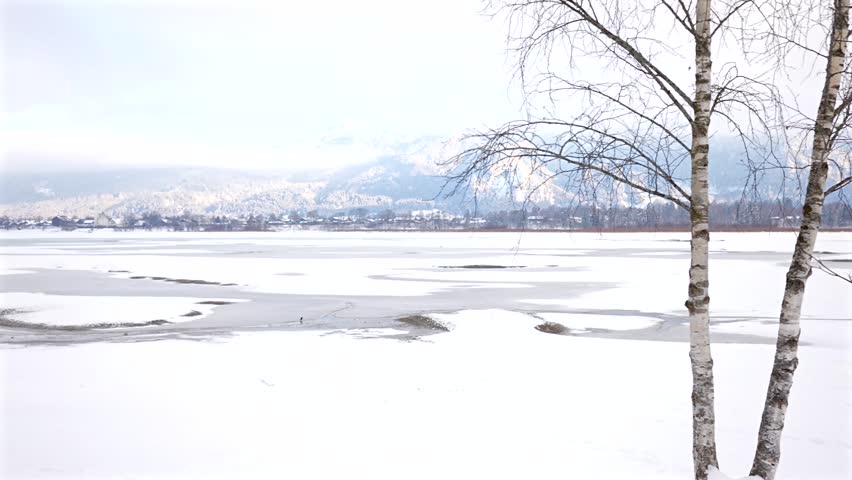 Bare Birch Trees on Snowy Lakeshore with Frozen Lake and Mountain Backdrop