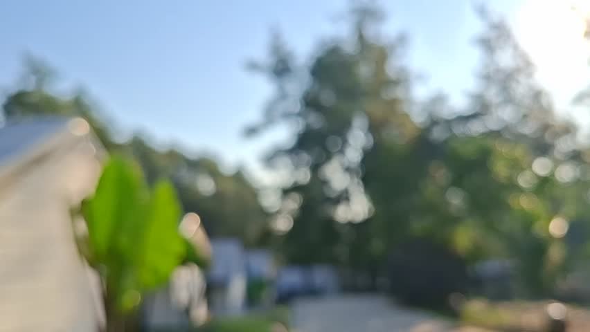 Soft Focus Morning Scene at Campsite Lodging