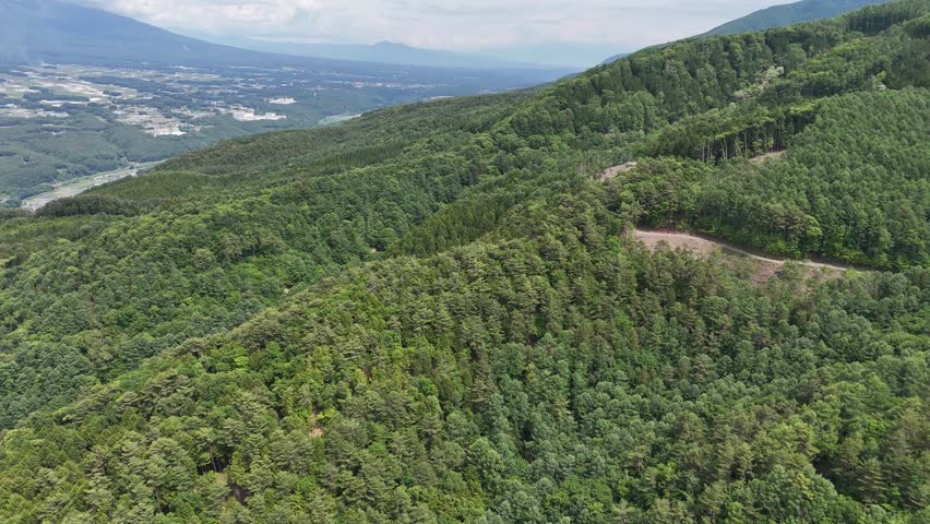 Aerial view shows a lush, green forested hillside. Winding path cuts through the dense trees. Faintly visible, a valley stretches below the hill. Mountains rise in the distance, framing the scene