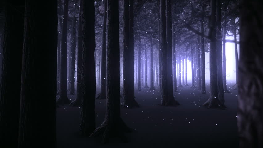 Strolling through the trunks of a forest of trees and snowy night
