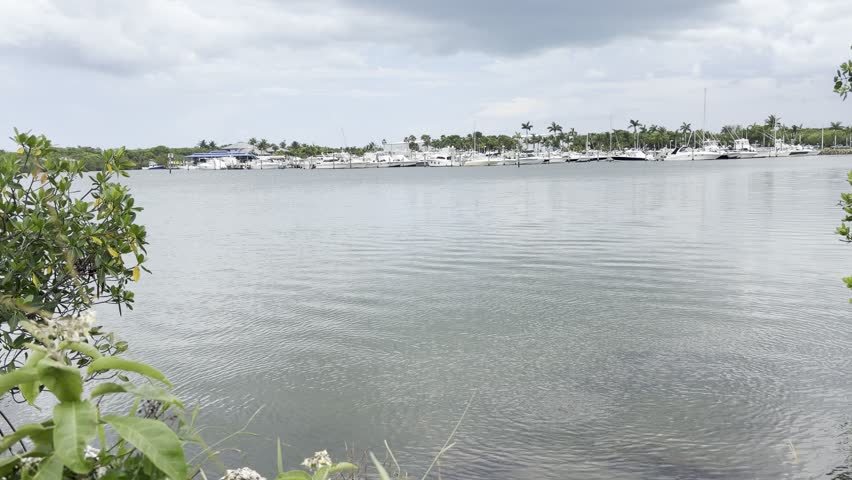 Boats at the Docks in Miami