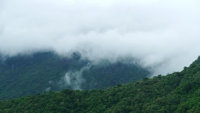 Dramatic cloud timelapse with dense white fog and mist rolling over a lush green mountain forest.