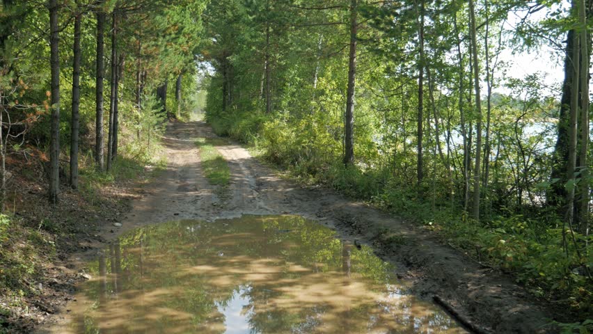 Handheld camera shot walking along a dirt forest trail with large puddles reflecting the trees. Summer nature landscape near Lake Baikal in Russia.