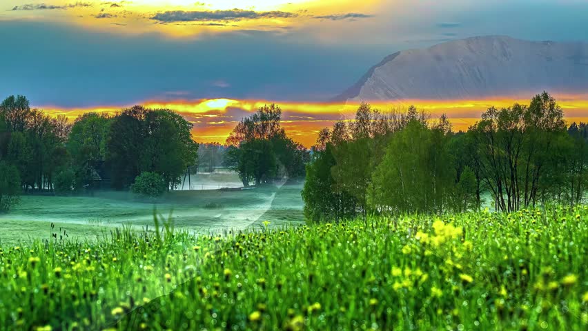 Cinematic sunrise time-lapse showing golden sun rising above misty forest. Lush green field with yellow flowers under dramatic orange sky. Peaceful morning landscape footage.