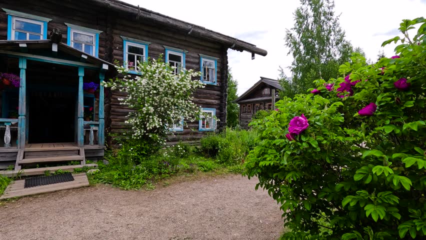 A large weathered log house with dark brown logs stands against a backdrop of lush overgrown grass and wildflowers. A traditional log cabin in the countryside under a bright cloudy sky.