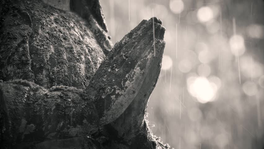 black and white close-up of praying hands of an old angel statue in the rain at cemetary