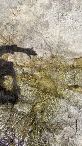 a view of the valley on a summer day