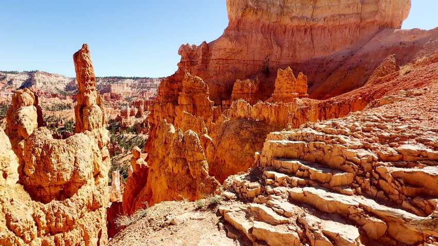 ⛰️ Bryce Canyon Depth: POV From Canyon Floor Looking Up. A smooth first-person POV video from the canyon floor, looking up at towering red sandstone cliffs and hoodoos with green pine trees on top. Beautiful clear blue sky on a sunny day. Wilderness.