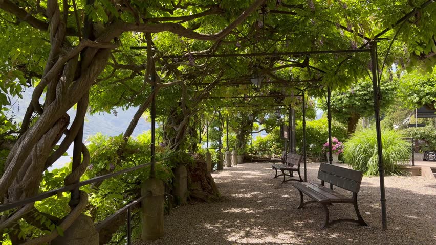 An empty wisteria-covered pergola walkway lined with wooden benches leads toward a glimpse of Lake Como, Italy, surrounded by lush greenery and dappled sunlight. This serene garden path captures the tranquil natural beauty of a luxury Italian villa garden in Lombardy, Italy.

