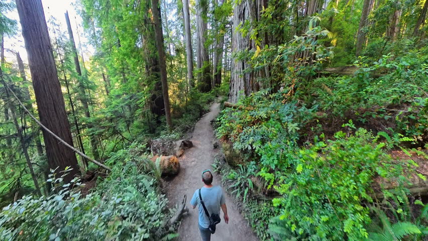 Overhead of Man Hiking in Jedidiah Smith State Park