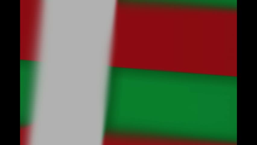 Animated 3D Waving National Flag Of Madagascar