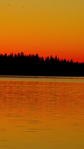 Vertical video capturing a colorful sunset over a large lake in a Canadian national park. Golden and orange hues reflect across the calm water, creating a serene wilderness landscape.