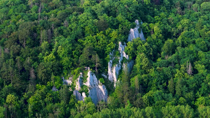 Aerial view of limestone cliffs emerging from a dense green forest in the Meuse valley near Dinant, Wallonia, Belgium.