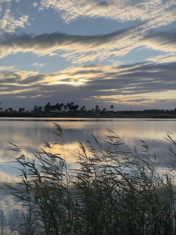 Sea, cloud, sunshine, birds sound