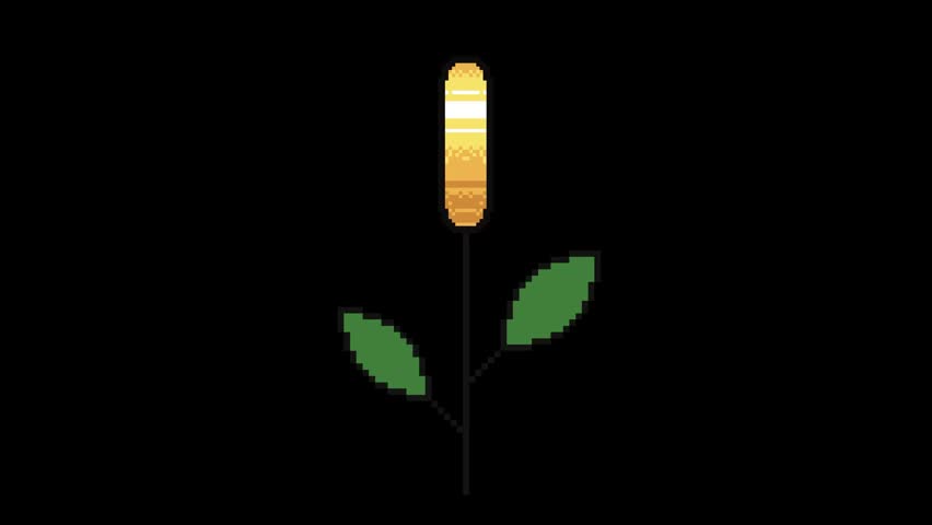 A cute pixel art animation of a golden dollar coin flower gently moving up and down while rotating. This financial growth symbol combines nature and money concepts, representing wealth, investment, profit, savings, business success, and financial growth. Perfect for game assets, UI icons, business presentations, fintech projects, finance videos, and digital illustrations.