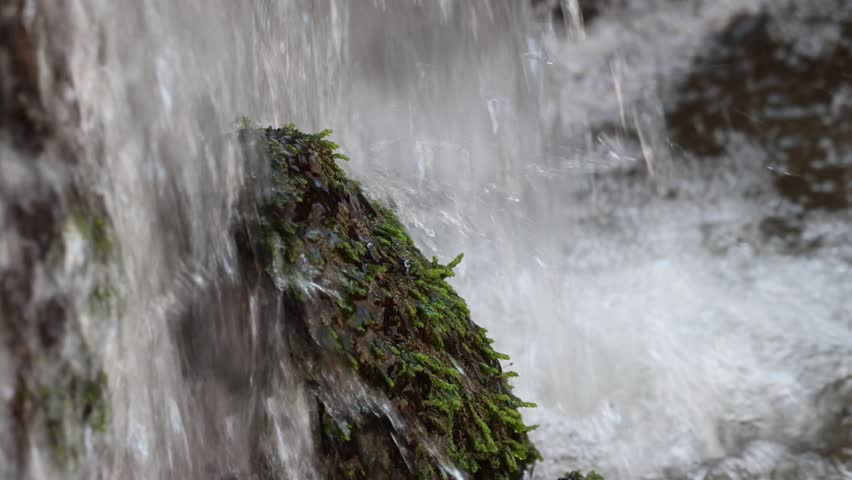 Falling water over a rock with moss.