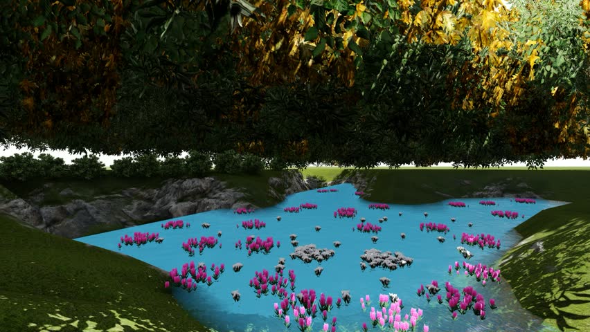 Hill lake and Water Lily 