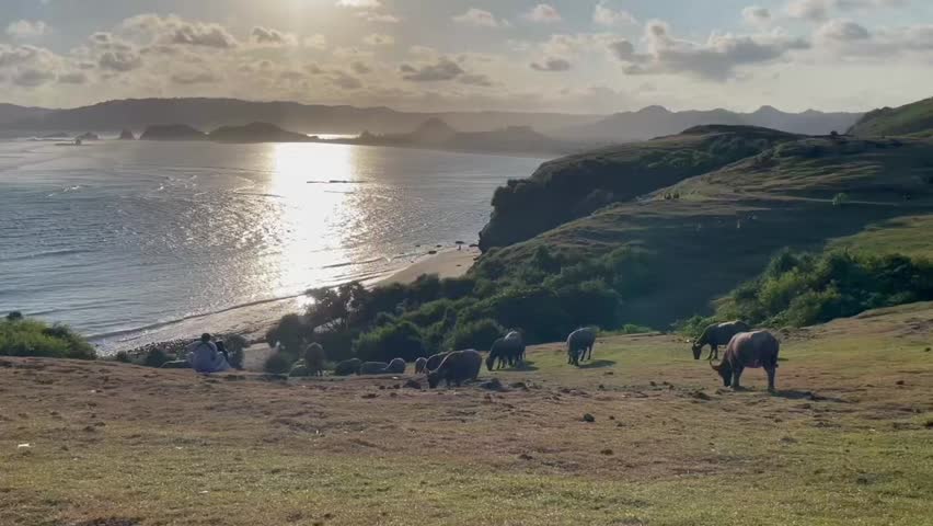 The sunset view from the top of Merese Hill surrounded by buffalos.