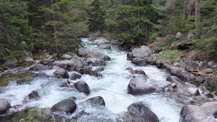 Clear rushing water moves over large rocks in a natural forest river setting.