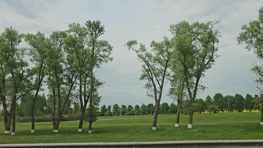A wide view shows a green field with trees and a large hill in the distance. The sky is cloudy, and the landscape is peaceful. It appears to be afternoon.